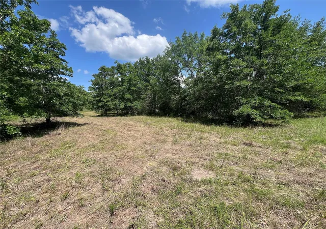 Photo 2 of Land for sale at 0010 Fm 2562 Rd, Anderson, TX 77830 | MLS# 96865263 | Listing updated on 2026-04-29