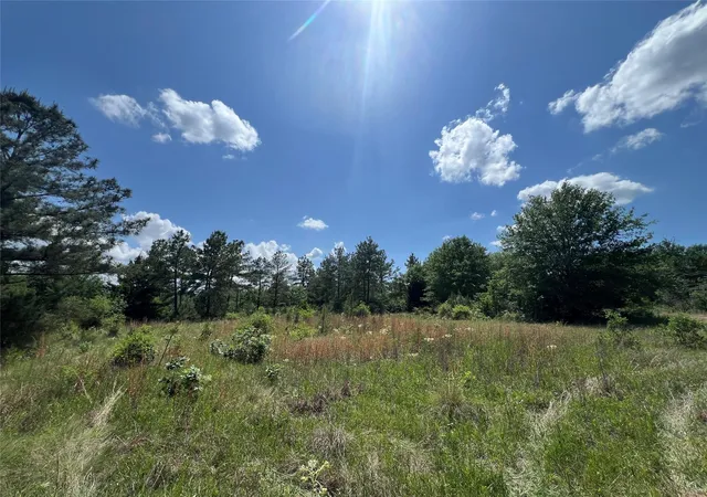 Photo 3 of Land for sale at 0010 Fm 2562 Rd, Anderson, TX 77830 | MLS# 96865263 | Listing updated on 2026-04-29