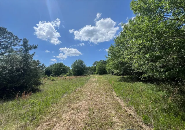 Photo 4 of Land for sale at 0010 Fm 2562 Rd, Anderson, TX 77830 | MLS# 96865263 | Listing updated on 2026-04-29