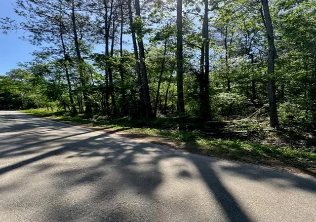 Photo 2 of Land for sale at 166 County Rd 3475, Cleveland, TX 77327 | MLS# 66969604 | Listing updated on 2026-05-18