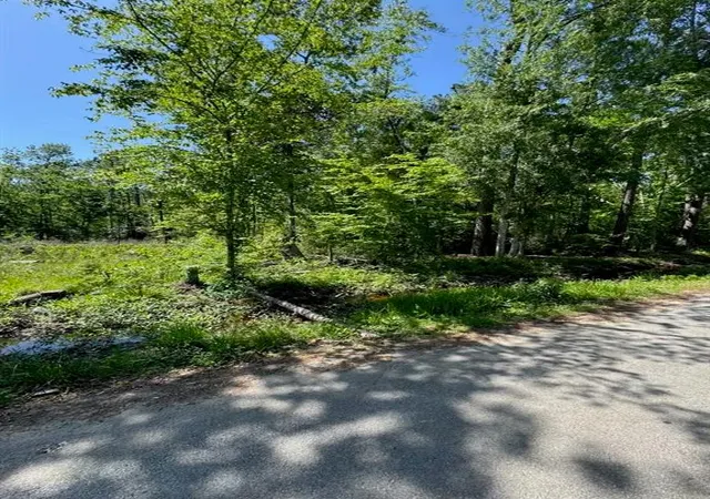 Photo 4 of Land for sale at 166 County Rd 3475, Cleveland, TX 77327 | MLS# 66969604 | Listing updated on 2026-05-18
