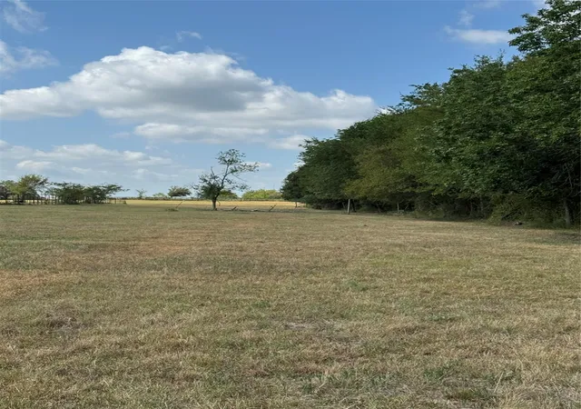Photo 2 of Land for sale at Tract 2 Fm 3060, Midway, TX 75852 | MLS# 97861792 | Listing updated on 2026-07-30