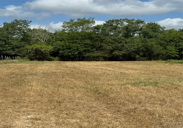 Photo 3 of Land for sale at Tract 2 Fm 3060, Midway, TX 75852 | MLS# 97861792 | Listing updated on 2026-07-30