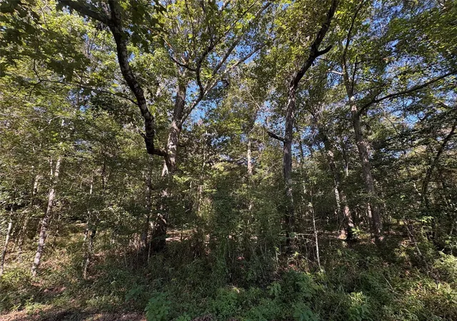 Homes for sale in Thicket, TX | 25595 Fm 787, Thicket, TX 77374 | MLS# 71136322