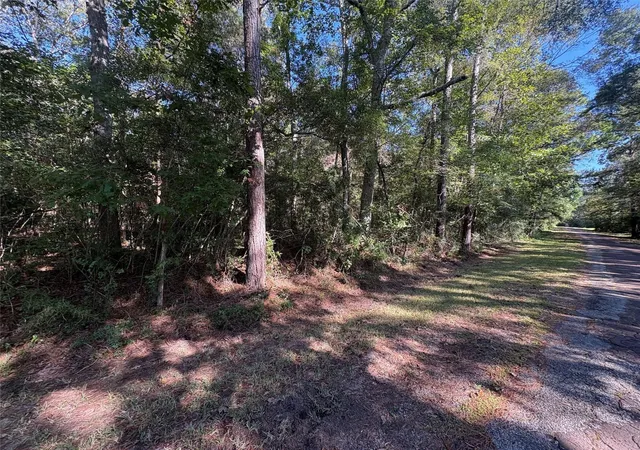 Homes for sale in Thicket, TX | 25595 Fm 787, Thicket, TX 77374 | MLS# 71136322