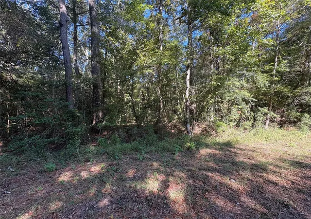 Homes for sale in Thicket, TX | 25595 Fm 787, Thicket, TX 77374 | MLS# 71136322