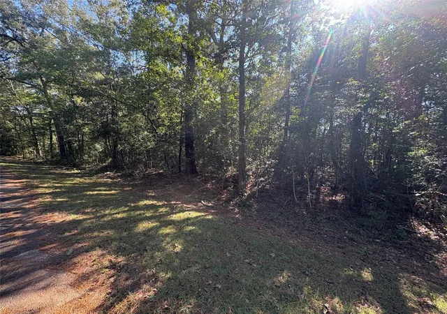Homes for sale in Thicket, TX | 25595 Fm 787, Thicket, TX 77374 | MLS# 71136322