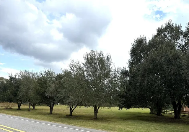 Photo 3 of Land for sale at 6315 Main St, Hitchcock, TX 77563 | MLS# 57237756 | Listing updated on 2026-06-16