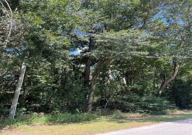 Photo 3 of Land for sale at 1611 Athens Dr, New Caney, TX 77357 | MLS# 43882824 | Listing updated on 2026-02-12