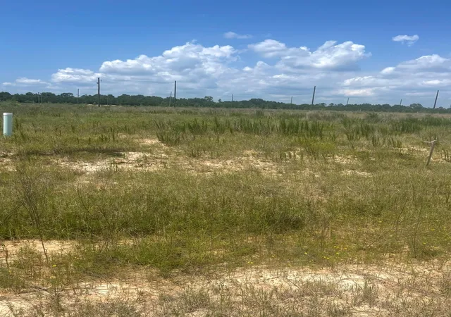 Photo 1 of Land for sale at 856 Rd 591503 Teresa Dr, Cleveland, TX 77327 | MLS# 54638925 | Listing updated on 2026-06-16