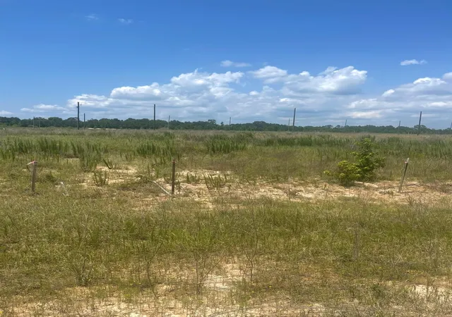 Photo 2 of Land for sale at 856 Rd 591503 Teresa Dr, Cleveland, TX 77327 | MLS# 54638925 | Listing updated on 2026-06-16