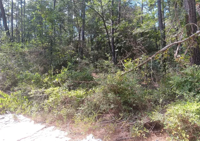 Photo 4 of Land for sale at Lot 17 & 18 Honeylocust Ln, Plantersville, TX 77363 | MLS# 69278564 | Listing updated on 2025-08-14