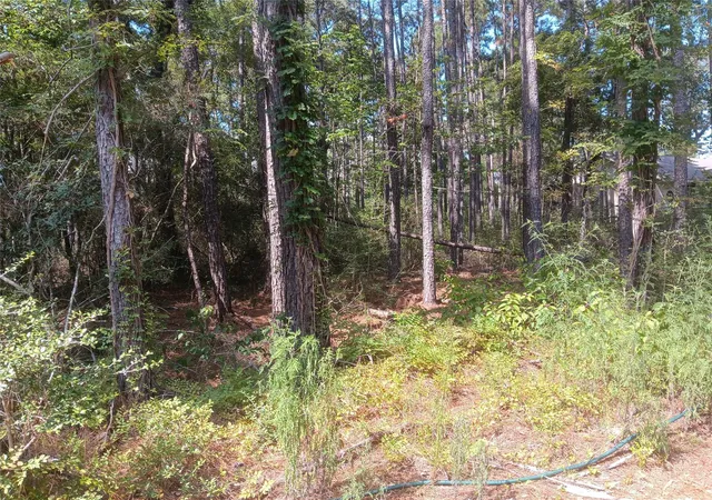 Photo 6 of Land for sale at Lot 17 & 18 Honeylocust Ln, Plantersville, TX 77363 | MLS# 69278564 | Listing updated on 2025-08-14
