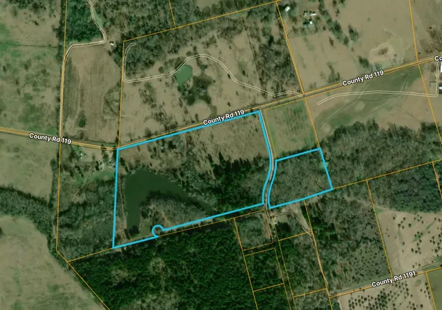 Homes for sale in Palestine, TX | 0 County Road 119, Palestine, TX 75801 | MLS# 12744872