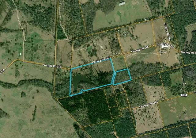 Homes for sale in Palestine, TX | 0 County Road 119, Palestine, TX 75801 | MLS# 12744872