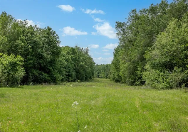 Photo 3 of Sale Pending at +/ 1600 Ac Fm 979, Franklin, TX 77856 | MLS# 83795964 | Listing updated on 2026-06-17