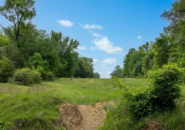Photo 3 of Sale Pending at +/-1600 Ac Fm 979, Franklin, TX 77856 | MLS# 83795964 | Listing updated on 2026-06-17