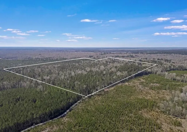 33rd image of 893 Capps Road, Huntington, TX 75949 | MLS# 22964529