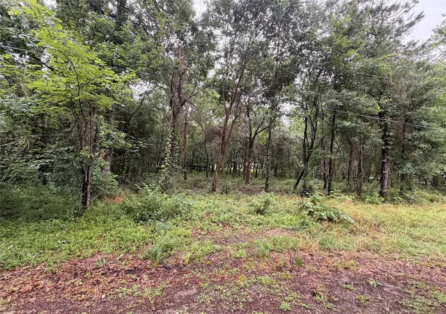 Land for sale at 5265 Pecan Tree Ln, Montgomery, TX 77316 | MLS# 88472329