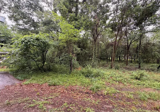 Photo 1 of Land for sale at 5265 Pecan Tree Ln, Montgomery, TX 77316 | MLS# 88472329 | Listing updated on 2026-09-01