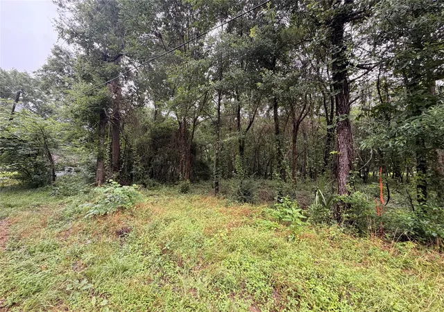 Photo 2 of Land for sale at 5265 Pecan Tree Ln, Montgomery, TX 77316 | MLS# 88472329 | Listing updated on 2026-09-01
