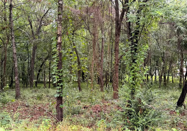 Photo 3 of Land for sale at 5265 Pecan Tree Ln, Montgomery, TX 77316 | MLS# 88472329 | Listing updated on 2026-09-01