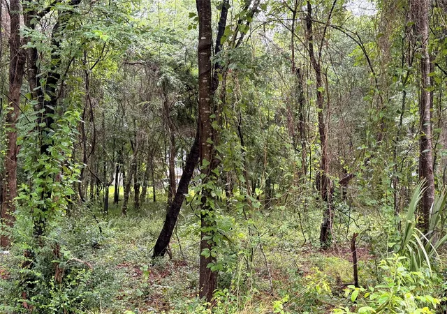 Photo 4 of Land for sale at 5265 Pecan Tree Ln, Montgomery, TX 77316 | MLS# 88472329 | Listing updated on 2026-09-01