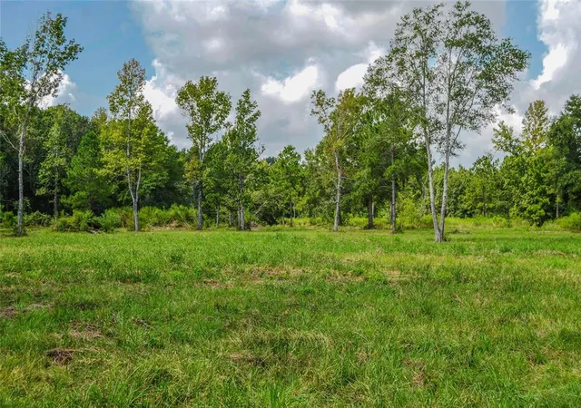 1st image of 224 Ac Hwy 321, Cleveland, TX 77327 | MLS# 32021972