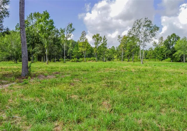 2nd image of 224 Ac Hwy 321, Cleveland, TX 77327 | MLS# 32021972