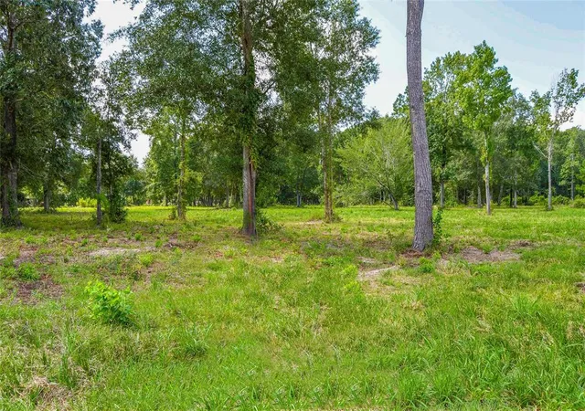 3rd image of 224 Ac Hwy 321, Cleveland, TX 77327 | MLS# 32021972