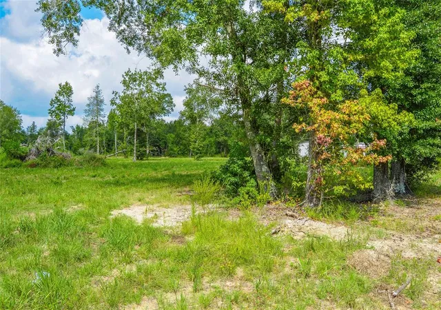 6th image of 224 Ac Hwy 321, Cleveland, TX 77327 | MLS# 32021972
