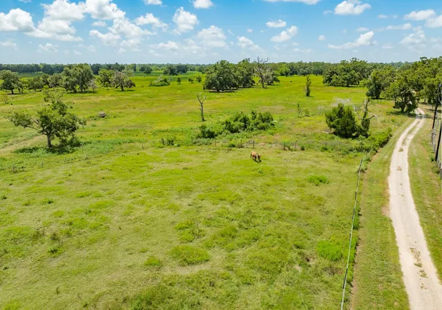Photo 4 of Single family home for sale at 438 County Road 164, Cedar Lane, TX 77414 | MLS# 80578647 | Listing updated on 2026-09-10