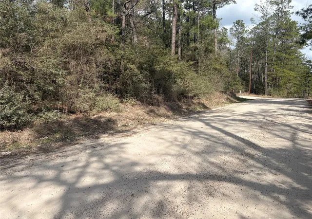 Photo 1 of Land for sale at Tbd Little Ponderosa Dr, Onalaska, TX 77360 | MLS# 91374207 | Listing updated on 2026-09-08