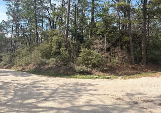 Photo 2 of Land for sale at Tbd Little Ponderosa Dr, Onalaska, TX 77360 | MLS# 91374207 | Listing updated on 2026-09-08
