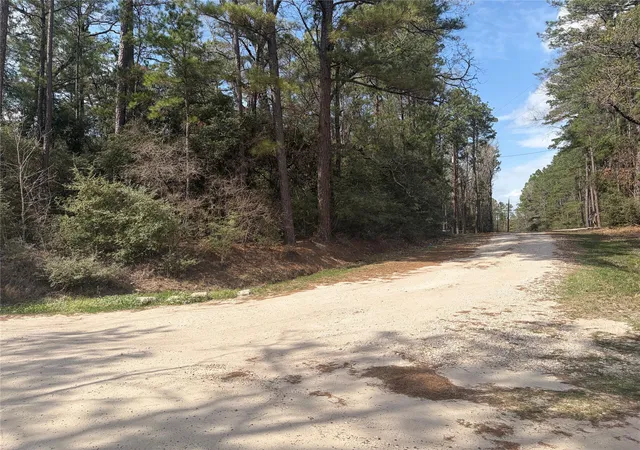 Photo 3 of Land for sale at Tbd Little Ponderosa Dr, Onalaska, TX 77360 | MLS# 91374207 | Listing updated on 2026-09-08