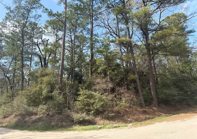 Photo 3 of Land for sale at Tbd Little Ponderosa Dr, Onalaska, TX 77360 | MLS# 91374207 | Listing updated on 2026-09-08