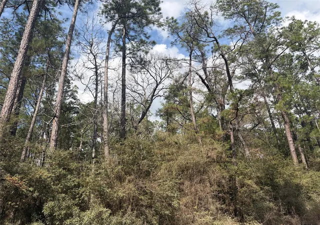 Photo 4 of Land for sale at Tbd Little Ponderosa Dr, Onalaska, TX 77360 | MLS# 91374207 | Listing updated on 2026-09-08