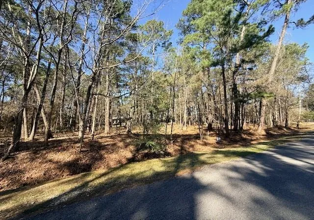 Photo 1 of Land for sale at 2 Helena Ct, Coldspring, TX 77331 | MLS# 36408664 | Listing updated on 2026-07-16
