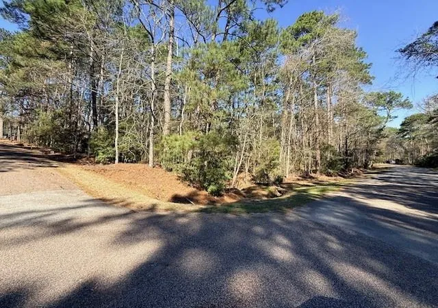 Photo 2 of Land for sale at 2 Helena Ct, Coldspring, TX 77331 | MLS# 36408664 | Listing updated on 2026-07-16
