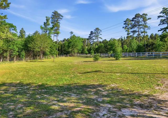 Photo 4 of Land for sale at Tbd Fm 247, Huntsville, TX 77320 | MLS# 79466581 | Listing updated on 2026-05-05