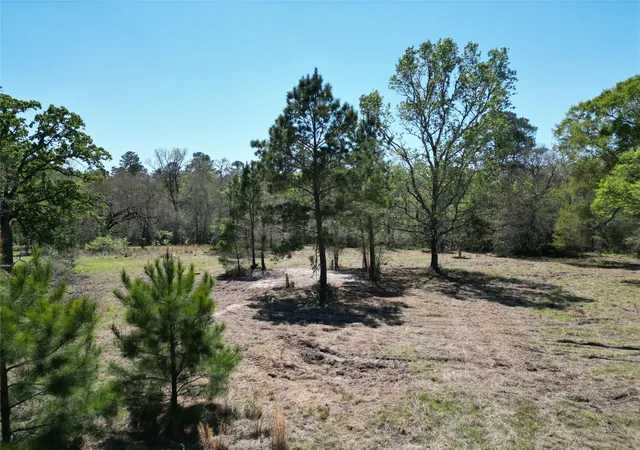 2nd image of 42 Brumley Rd, Huntsville, TX 77320 | MLS# 91677391