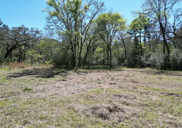 5th image of 42 Brumley Rd, Huntsville, TX 77320 | MLS# 91677391