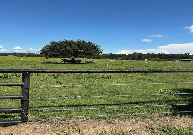Photo 3 of Land for sale at 585 Industrial Park Blvd, Trinity, TX 75862 | MLS# 32018312 | Listing updated on 2025-12-14