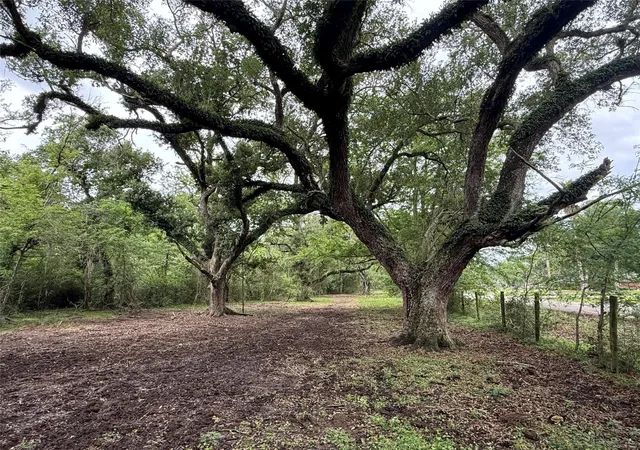 2nd image of 6833 Bryan Road, Freeport, TX 77541 | MLS# 41333788