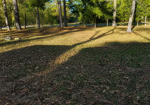 Photo 2 of Land for sale at Tbd Acorn, Livingston, TX 77351 | MLS# 5078240 | Listing updated on 2026-07-05