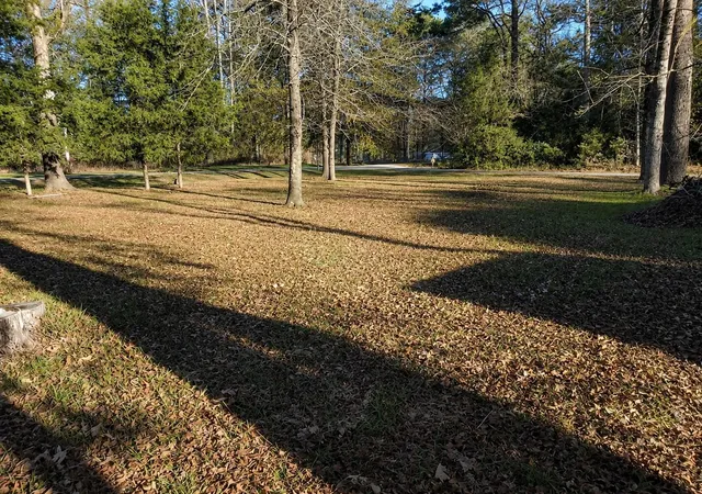 Photo 3 of Land for sale at Tbd Acorn, Livingston, TX 77351 | MLS# 5078240 | Listing updated on 2026-07-05
