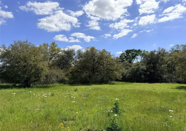 Homes for sale in Garwood, TX | Tbd Loose Cow Rd, Garwood, TX 77442 | MLS# 79832709