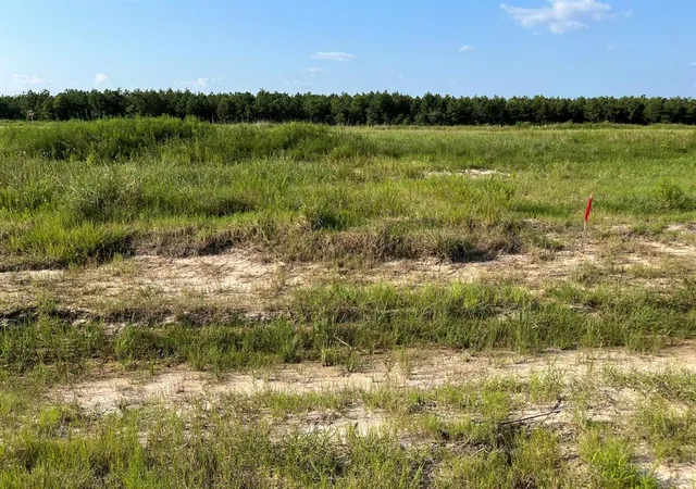 Photo 1 of Land for sale at 1021 Road 5858, New Caney, TX 77357 | MLS# 20770178 | Listing updated on 2026-09-09