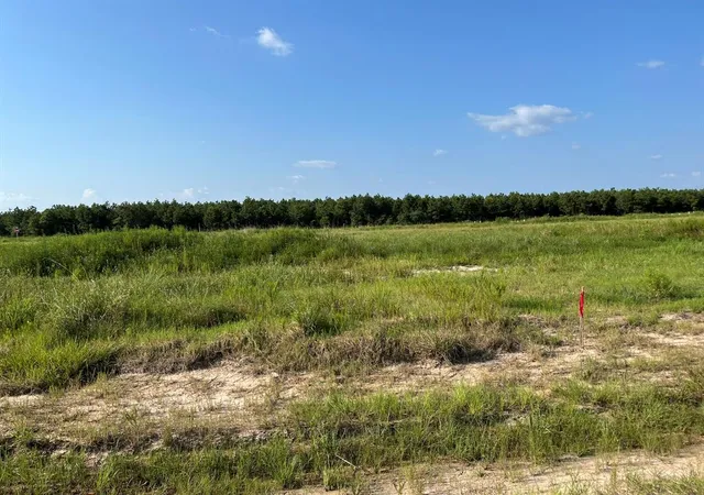 Photo 2 of Land for sale at 1021 Road 5858, New Caney, TX 77357 | MLS# 20770178 | Listing updated on 2026-09-09
