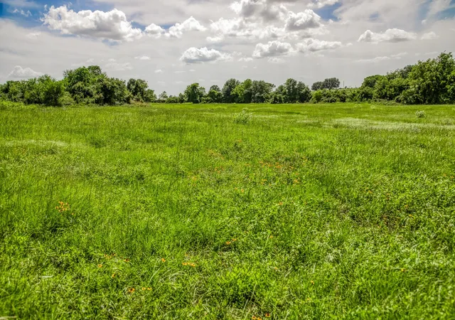 Photo 3 of Land for sale at 1070 Sledge Ct, Chappell Hill, TX 77426 | MLS# 43778430 | Listing updated on 2026-09-22
